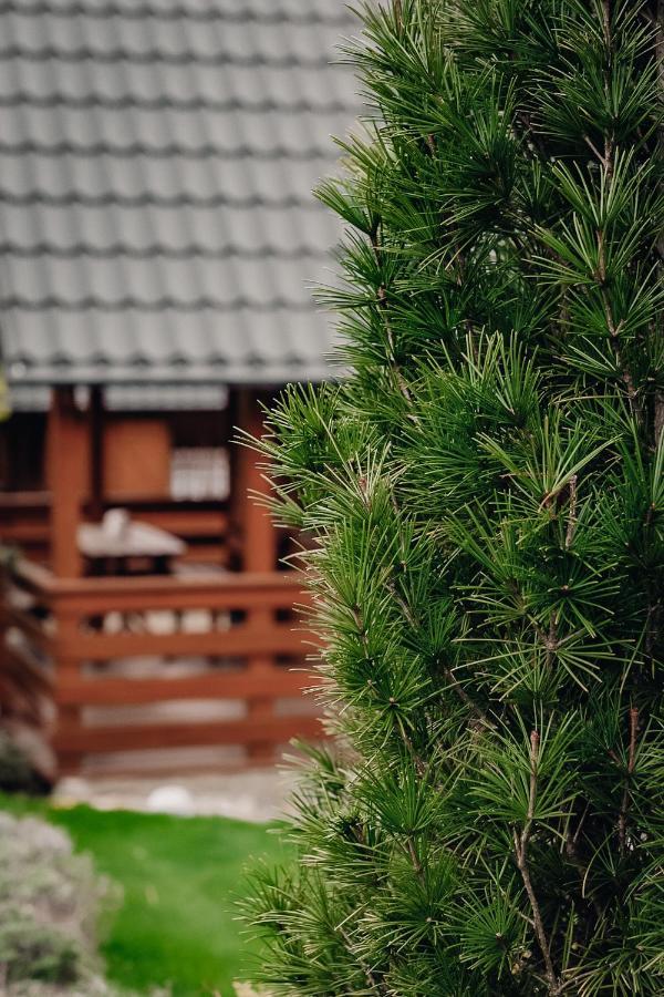 Domki U Basi Kudowa-Zdrój Exterior foto