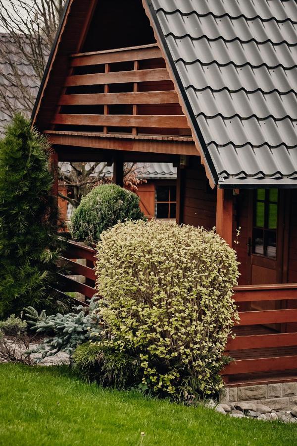 Domki U Basi Kudowa-Zdrój Exterior foto